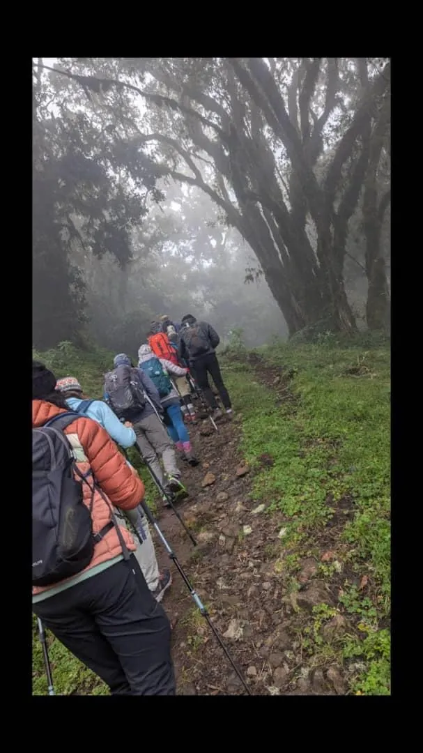 Mount Kilimanjaro trekking landscape